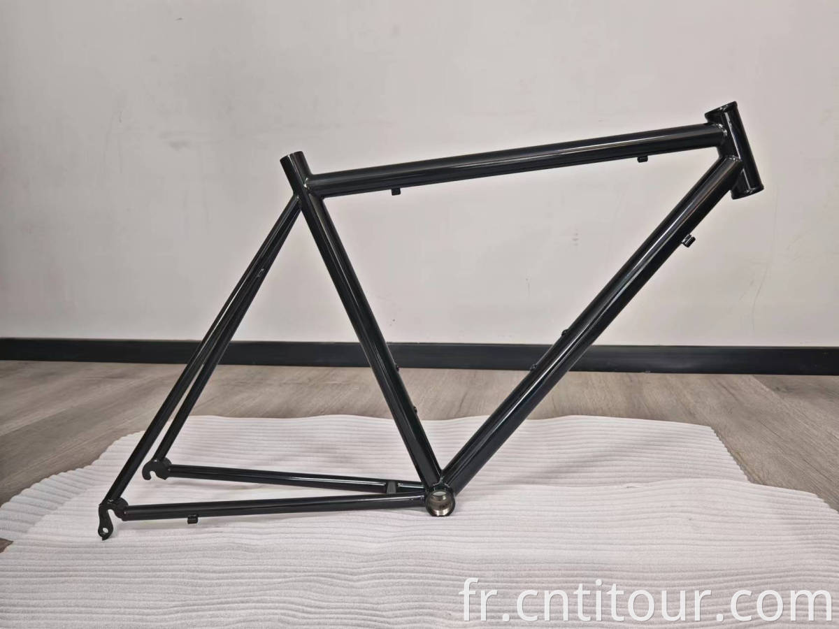 legacy titanium road bike frame for sale